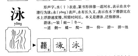 泳字五行|泳字五行属什么